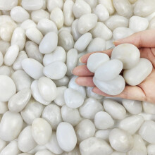 FANTIAN 2 lbs White Pebbles for Garden, 2-3 cm Stones for Plant Pots | Polished Garden Pebbles, Stone for Aquarium, Terrarium, Glass Vase