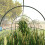 Polytunnel Greenhouse 3x2x2m with Steel Frame 8