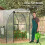 Polytunnel Greenhouse 3x2x2m with Steel Frame 5
