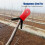 (Red) Garden Tool Y-Shaped Bud Notching Ring for Fruit and Orange Trees 4