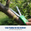 (Green) Garden Tool Y-Shaped Bud Notching Ring for Fruit and Orange Trees 5