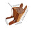 (rabbit) Rustic Tea Leaves Picking Backpack Basket for Farm Garden Vacation 2