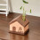 (Dark Brown) Mini husformet hydroponisk blomstervase for bordblomsterdekorasjon 4