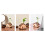 (Light Brown) Mini husformet hydroponisk blomstervase for bordblomsterdekorasjon 2