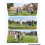 Voetbaldoel - DUOKU - DKS-36632 - 3,66x1,83 m - Robuust metaal - Witte PE net 2