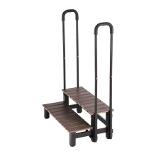 Escalera de 2 Peldaños-Duoku-con Pasamanos, Capacidad de 250 kg, Peldaños Antideslizantes, Ancho de 820 mm, Estructura de Acero