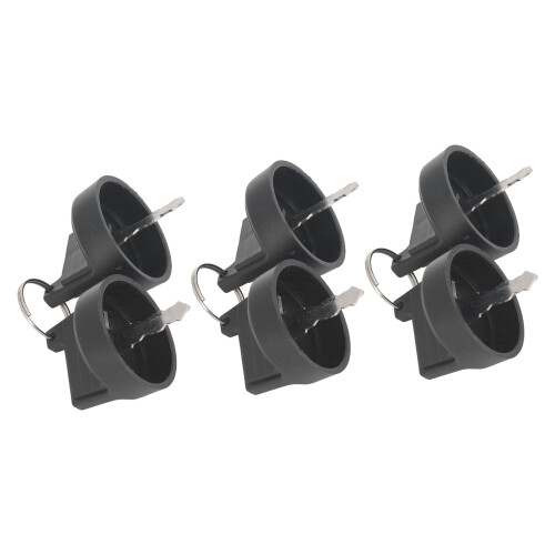 10 Sets Zündschlüssel kompatibel mit