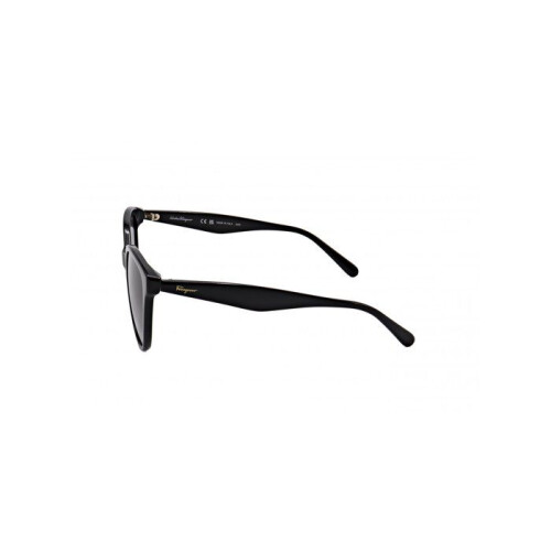 Ferragamo Gafas de Sol - FERRAGAMO - SF1073S - 54/17/140 - Negro - Inyectado 2