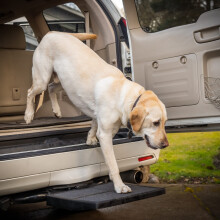 Otto Step Pet Ramp Step Helps Dogs Get in & Out of Car Van SUV | Portable Lightweight Dog Ramp | Simply Slide into 2 inch Trailer Hitch Receiver | No