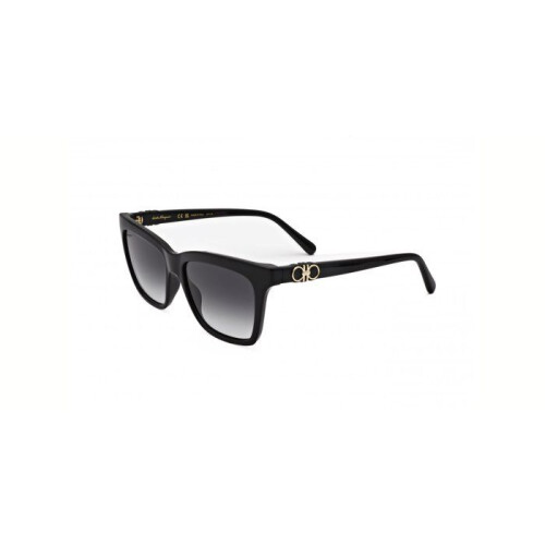 Ferragamo Sunglasses - FERRAGAMO - SF1027S - Black - 55/16/140 - Plastic frame (Injected)