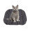 Camping Hundebett faltbar wasserabweisend klein 1