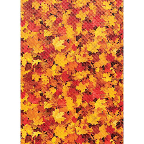 FALL LEAVS BETTR PAPR BULTN RL 4/PK 2