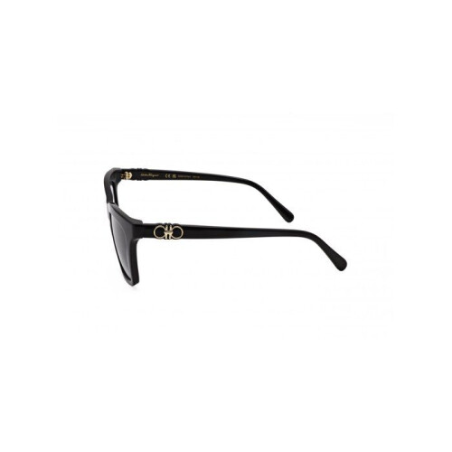 Ferragamo Sunglasses - FERRAGAMO - SF1027S - Black - 55/16/140 - Plastic frame (Injected) 2