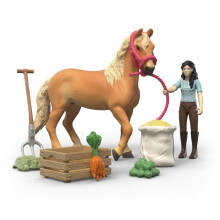 Spielset - SCHLEICH - 42797 - Emilys Pflegekit - Horse Club - 15 Teile - Ab 4 Jahren