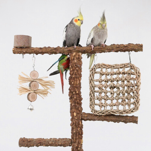 Parc de jeu pour perroquets, perruches, inséparables, cacatoès et accessoires pour cage 2
