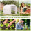 2.5x2x2m Polytunnel Greenhouse with Mesh Windows 6