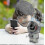 Astronaut Smart Bluetooth Speaker with AI Voice Assistant and Voice Intercom for Wireless Audio 4