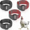 No Crow Chicken Collars Adjustable 4 Pack Neckbands for Roosters and Hens 1
