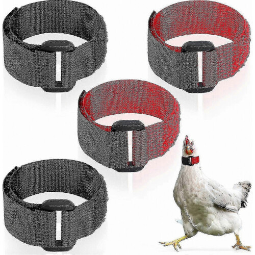 No Crow Chicken Collars Adjustable 4 Pack Neckbands for Roosters and Hens