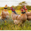 No Crow Chicken Collars Adjustable 4 Pack Neckbands for Roosters and Hens 4