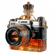 Camera Shaped Glass Wine Bottle, Novelty Decorative Bottle, Clear Glass, Unique Gift for Home Bar and Party Display