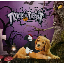 Disfraz de jinete demonio para mascotas en Halloween con muñeco, divertido, para perros y gatos, talla XL, de poliéster
