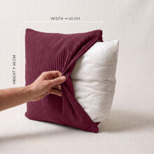 (Pack of 4 (20x20), Red) Stripe Velvet Filled Cushions with Cushion Pads 20x20 Inch | Premium Quality Pillows