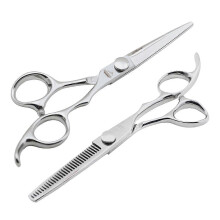 Professional Hair Cutting Shears Set with Thinning Scissors, Japanese 440C Steel, Convex Blades