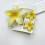 (white and yellow) Egg Flower Hair Clips 3pcs Multi Functional Shark Clip 1