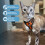 Voyager Step-in Lock Adjustable Cat Harness w. Cat Leash Combo Set with Neoprene Handle 5ft 5