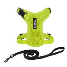 Voyager Step-in Lock Cat Harness and Reflective Cat Leash with Neoprene Handle by Best Pet Supplies