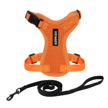 Voyager Step-in Lock Cat Harness and Reflective Cat Leash with Neoprene Handle by Best Pet Supplies
