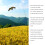 Bird Scarer Kite with 4m Pole Crop Protector Bird Hawk Flying Kite 2