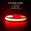 YFbrite Light up Dog Collar, Safety Night Walking (Red, Small) 6