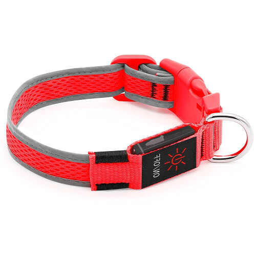 YFbrite Light up Dog Collar, Safety Night Walking (Red, Small) 1