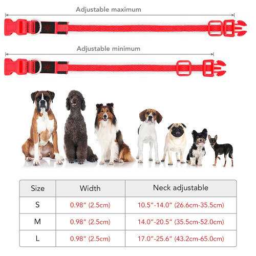YFbrite Light up Dog Collar, Safety Night Walking (Red, Small) 2