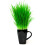 Cat FurNature Cat Grass Refill Kit 4 Pack 2