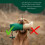 Romney's Standard Dummy 500 g Dog Fetch - Extremely Robust and Floating (Green) 6
