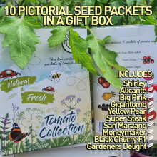Vegetable Herb Tomato Seed Gift Box with 10 Pictorial Packets of Seed Great Gift Present Gardener Allotment (Tomato Collection Gift Box)