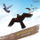 Bird Scarer Kite with 4m Pole Crop Protector Bird Hawk Flying Kite 4