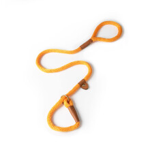 Dog & Field Lux Woven Slip Lead - Apricot. 1.2m Slip Lead For Dogs