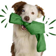 The OriginalTM Snuffle Toy for Dogs (Green) - Interactive Foraging Puzzle & Treat Dispenser - Mental Stimulation & Nosework Brain Game