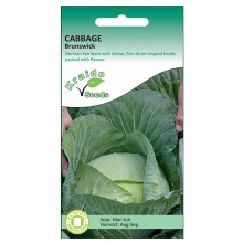 Cabbage Seeds White Brunswick Brassica Oleracea 500 Seeds Grow Your Own Vegetable Indoors in a Greenhouse or Outdoors in a Garden or in Large Pots
