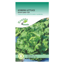 Iceberg Lettuce Great Lakes 118 Lactuca Sativa 700 Seeds Grow Your Own Vegetables Perfect for Outdoor Growing in Raised Beds or in Large Pots and