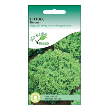 Lettuce Seeds Simona Lactuca Sativa 1250 Seeds Grow Your Own Vegetable Perfect for Outdoor Growing in Raised Beds or in Large Pots and Containers