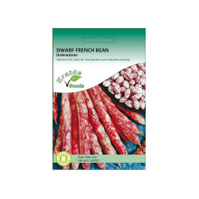 Purple Dwarf French Bean Seeds Dalmaziano Phaseolus Vulgaris 50 Seeds Grow Your Own Vegetables Perfect for Outdoor Growing in Raised Beds or Larger