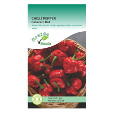 Chilli Spicy Hot Pepper Seeds Habanero 10 Seeds Capsicum Annuum Grow Your Own Vegetable Ideal for Greenhouse or Garden Growing in Raised Beds