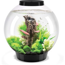 biOrb CLASSIC 30 Aquarium (Black, 30 Litres), Perfect Beginner Fish Tank With Integrated LED Lights, Quick & Easy To Set Up