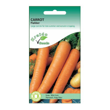Carrot Seeds Flakker Daucus Carota 2000 Seeds Grow Your Own Vegetable Perfect for Outdoor Growing in Raised Beds or in Large Pots and Containers