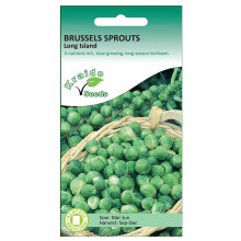 Brussels Sprouts Seeds Long Island Brassica Oleracea 350 Seeds Grow Your Own Vegetable Indoors in a Greenhouse or Outdoors in a Garden or in Large